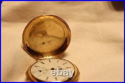 1892 14k Elgin Multi Color Stag Case Pocket Watch 6s 13j (runs)