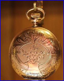 1897 Waltham Seaside 6S Gold Filled Fancy Hunter Case Pocket Watch-Very Nice