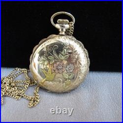1902 Elgin Grade 223 0s 15j Multi Color Gold Filled Full Hunter Pocket Watch A3