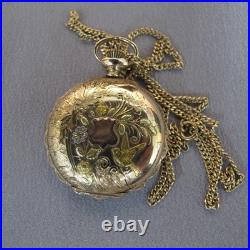 1902 Elgin Grade 223 0s 15j Multi Color Gold Filled Full Hunter Pocket Watch A3