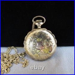 1902 Elgin Grade 223 0s 15j Multi Color Gold Filled Full Hunter Pocket Watch A3