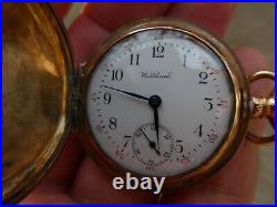 1902 Waltham Seaside 14K Gold Tricolor Floral Motif Case Ladies Pocket Watch H1