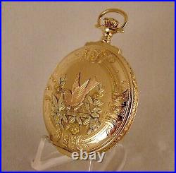 ANTIQUE ELGIN 14k SOLID GOLD BOX HINGE MULTICOLOR 12sHC FANCY DIAL POCKET WATCH