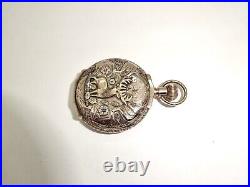 Antique 6s Elgin 14k Tri-color Gold Hunter Case Pocket Watch, Stag, Box Hinge, Runs
