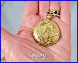 Antique Elgin 14K GF Tri Color Fahy's Caduceus Full Hunter Pocket Watch