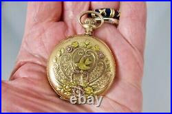 Antique Elgin 14K GF Tri Color Fahy's Caduceus Full Hunter Pocket Watch