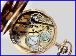 Antique Lady's 14K Hunter Solid Gold Case Pocket Watch Circa 19 Century