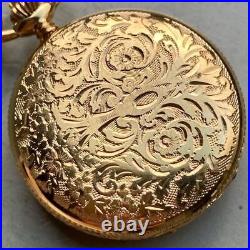 CATOREX vintage pocket watch Hunter case manual mechanical 17 jewels Works