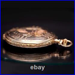 Multicolor Gold Elgin Stag Hunters Case Pocket Watch