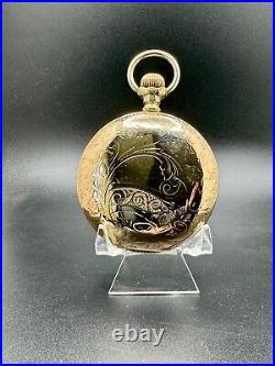 PEORIA HUNTER CASE 18s POCKET WATCH