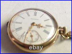Rare 1906 AMERICAN WALTHAM Pocket / Wrist Watch Size 00 Mvmt 20Yrs Star GF Case